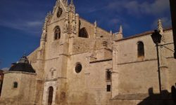Catedral de Palencia. Los 5 Mejores