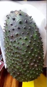 Durian GG. los5mejores