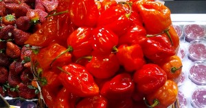 Chiles habaneros (los5mejores)