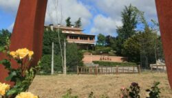 Restaurante Azaya, Mataelpino. Uno de los clásicos de la sierra madrileña