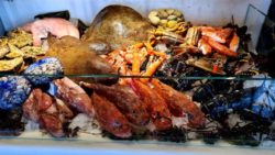 Cadaqués expositor pescados y mariscos. Jorge Juan. los 5 mejores