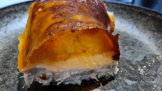 Cochinillo Los 5 Mejores