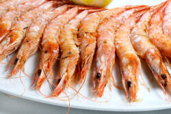 Gamba blanca del restaurante de Candeli. Uno de sus productos destacados de su carta. los 5 mejores 
