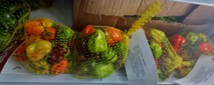 Habaneros. Los 5 Mejores
