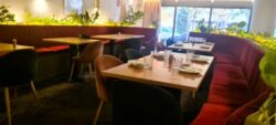 Ronda-14 Avda. Europa, Pozuelo. Restaurante peruano. .los 5 mejores.