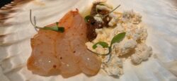 Sashimi gambas con su nieve, salsa roja, Kuoco. Los 5 mejores