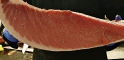 Ventresca de atún de almadraba . Los japoneses lo denominan toro.